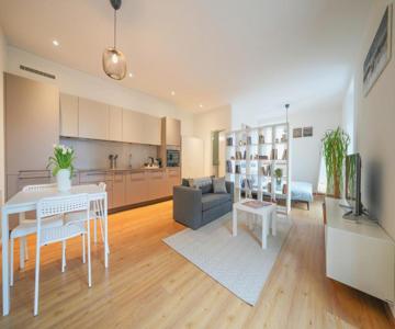 Loft DV2 - Bellissimo loft in Città Vecchia Locarno