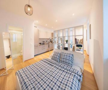 Loft DV1 - Bellissimo loft in Città Vecchia Locarno