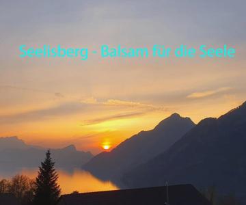 Appartement Seelewärmerli - Balsam Für Ihre Seele