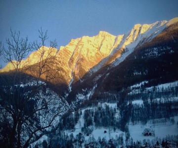 Arve