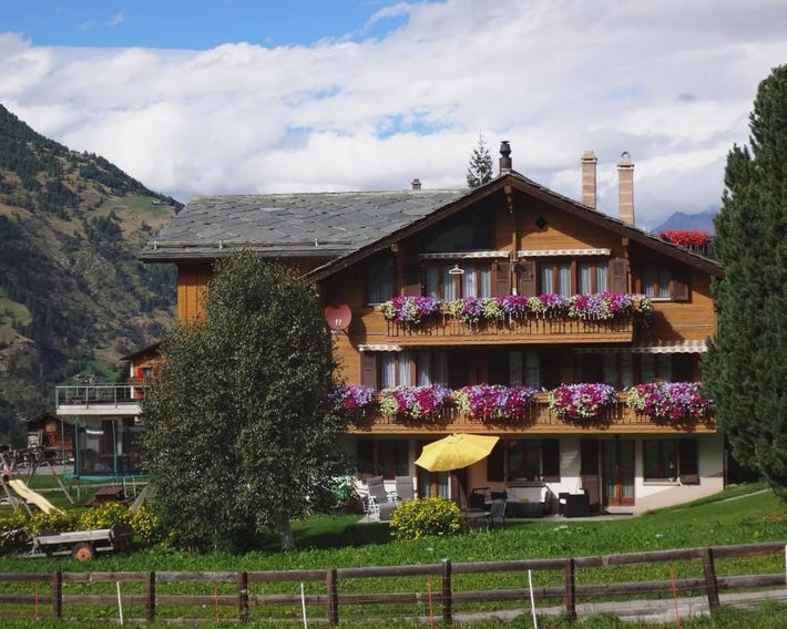 Chalet Petunia