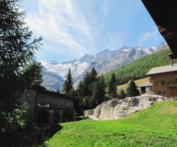 Chalet Les Mayens
