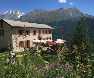Edelweiss Zermatt
