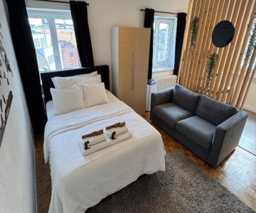 Cosy Attic Flat Lausanne Center