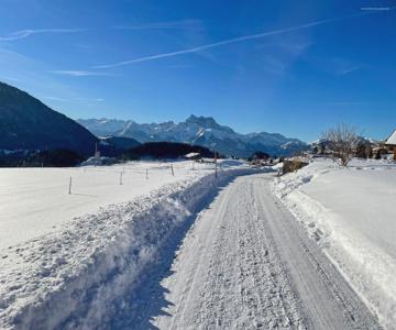 L'Epicéa