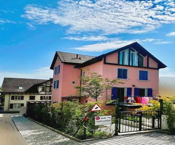 4 mins walk Thalwil Station, Free Parking, Historical