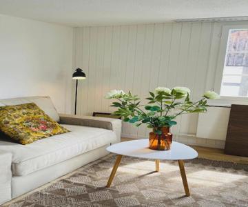 Charmante Wohnung Im Alten Dorfkern