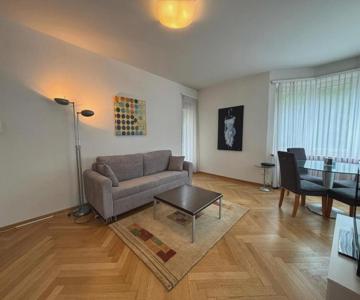 Spacious 1BR near Lake and Opera - Mill 3 11