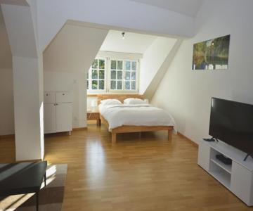 Loft in the historical center - Symbol 4