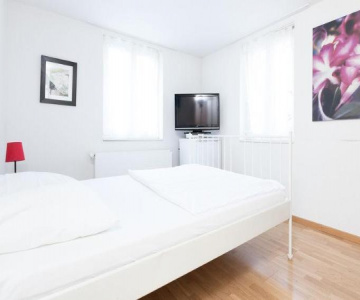 Swiss Star Guesthouse District 4