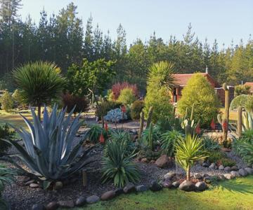 Eco Cabañas Algarrobo