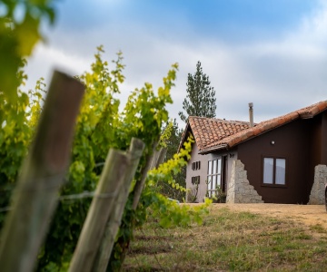 Villa Miramar At Casa Marin Vineyards