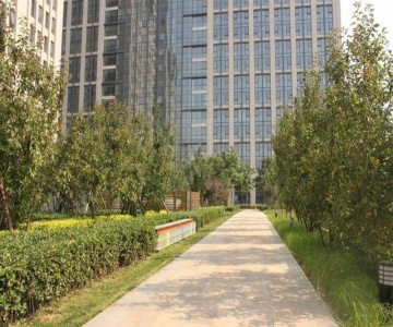 WYNN International Apartments