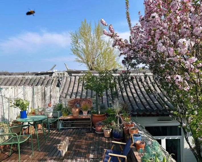 Peking Garden Siheyuan Boutique Hotel-Forbidden City&Beihai Park&Historic Hutong-Traditionnal yard&S