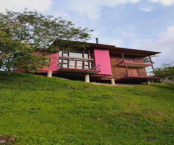 Gallito De Las Rocas Guest House