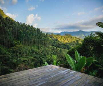 Creo Ecolodge Jardin