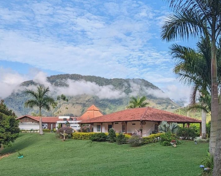Patio Bonito
