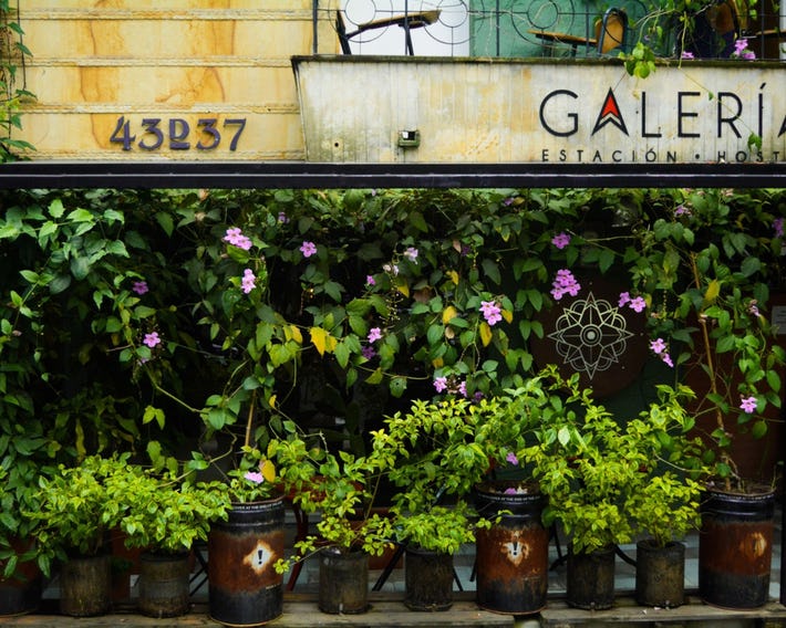 Galeria Estacion Hostel