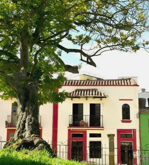 Hotel Aroma del Bosque Posada Cafe