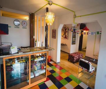 Hostel Local House