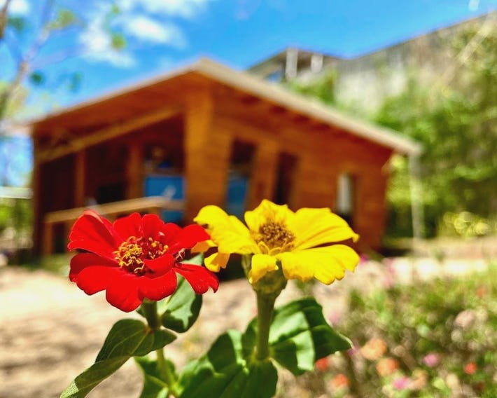 Hoja Azul