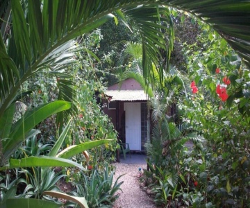 La Tropicale