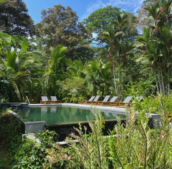 Passion Fruit Lodge
