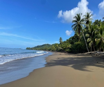 Cabinas Palmera Rincon San Josesito