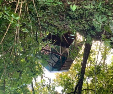 Rio Agujitas Eco Farm And Tours Camping