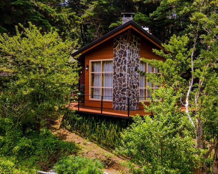 Los Pinos Cabins & Reserve