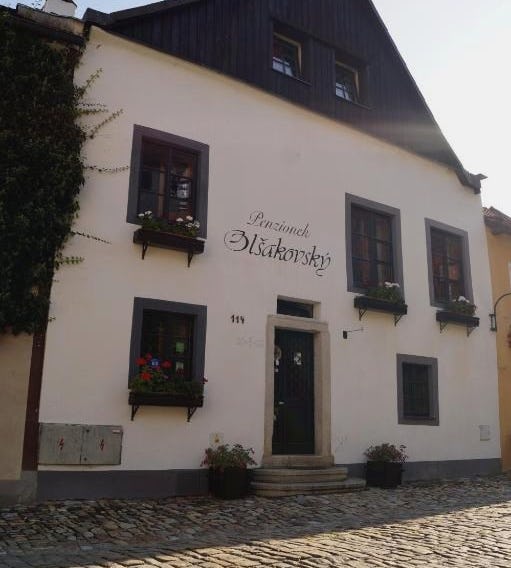Guest House Olsakovský