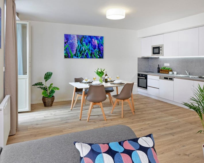 DownTown Suites Jugoslavska