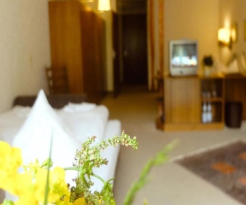 Hotel Valsana am Kurpark