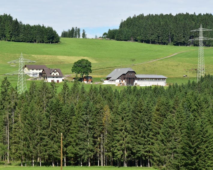 Dürrenbartleshof