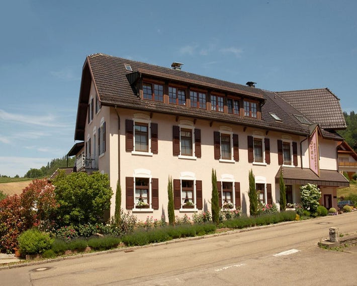 Rebstock Kappelwindeck