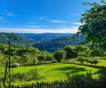 Ferienwohnung Panoramablick Bermersbach