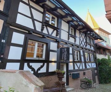 Der Gansbuhl auf der Stadtmauer