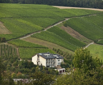 Benz - Das Weinhotel