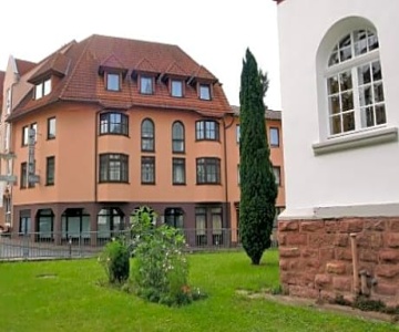 Traube