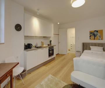 Boutique Apartments Freiburg - Elisabeth