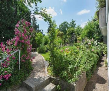 Secret Garden