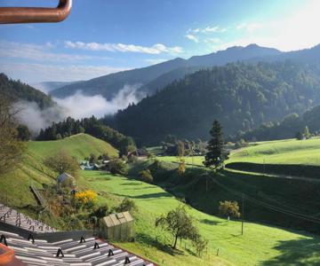 Daislehof
