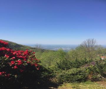 View from the Rock