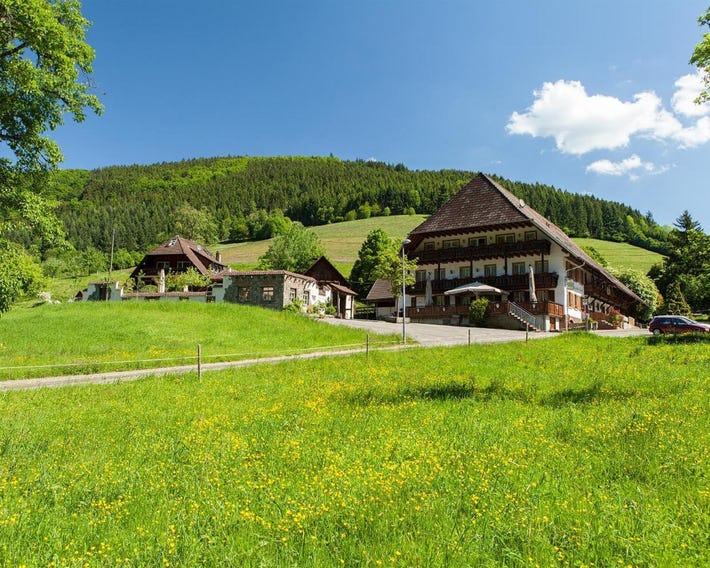 Landgasthaus Grüner Baum