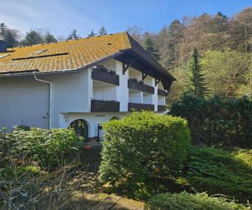 Triberg Falls Hideaway - Apartment 35
