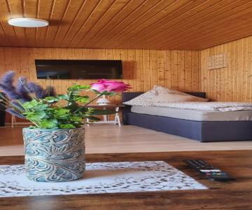 City Apartment Triberg