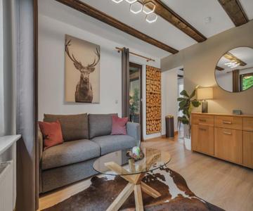 HIRSCH Stadt Apartment 6 - Balkon mit Flussblick - Parkplatz