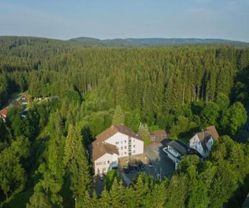 WanderOase Waldblick