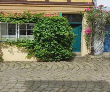 Altstadtnest