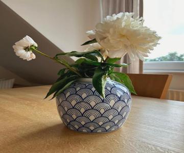 Lichtdurchflutete Dachgeschosswohnung in Uninähe